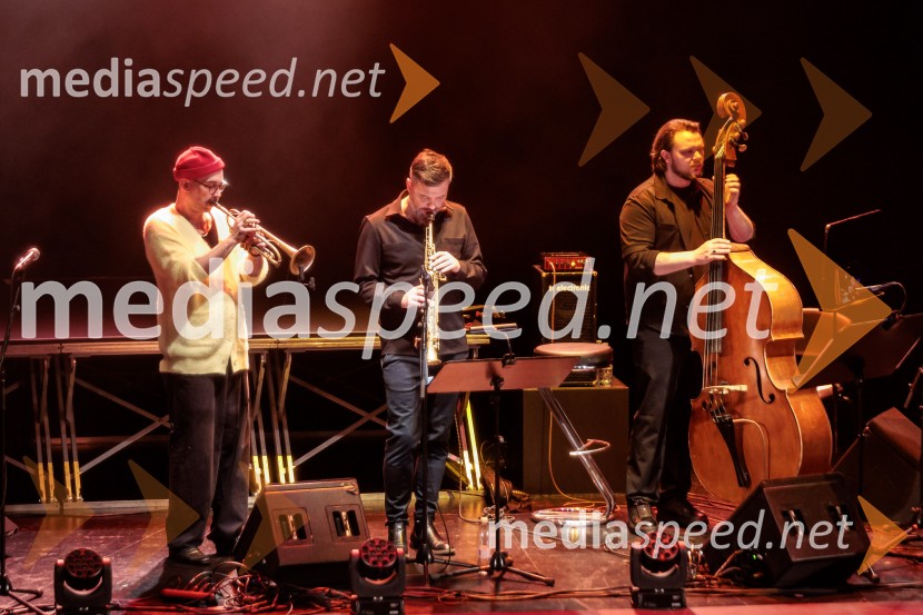 Raynald Colom: Constellation, koncert v Cankarjevem domu