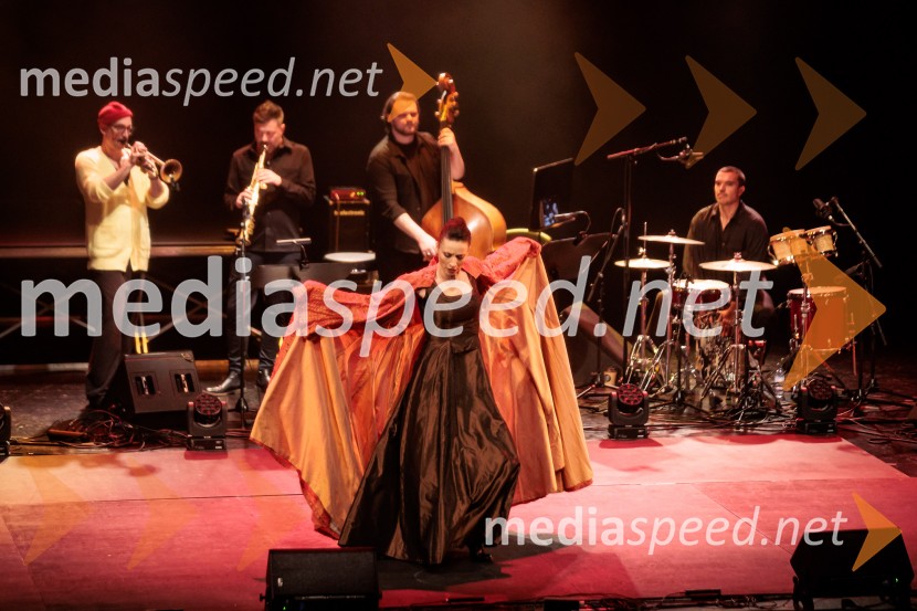 Raynald Colom: Constellation, koncert v Cankarjevem domu