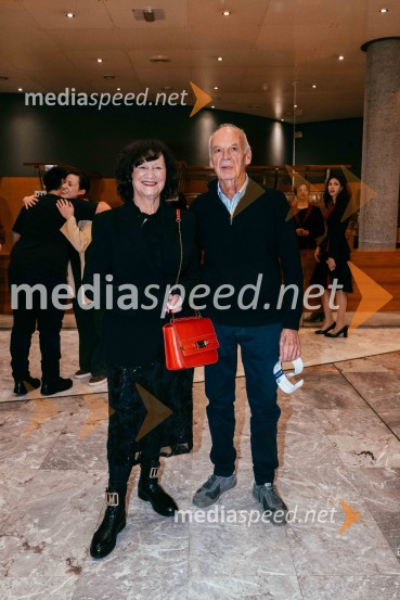 Avtorski projekt 1983 - Transgeneracijska dokumentarna fikcija v SNG Nova Gorica