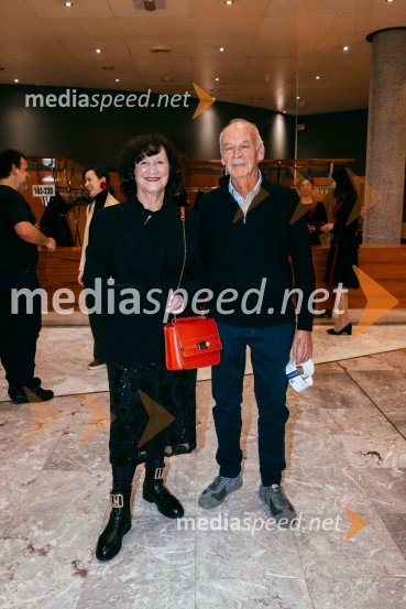 Avtorski projekt 1983 - Transgeneracijska dokumentarna fikcija v SNG Nova Gorica