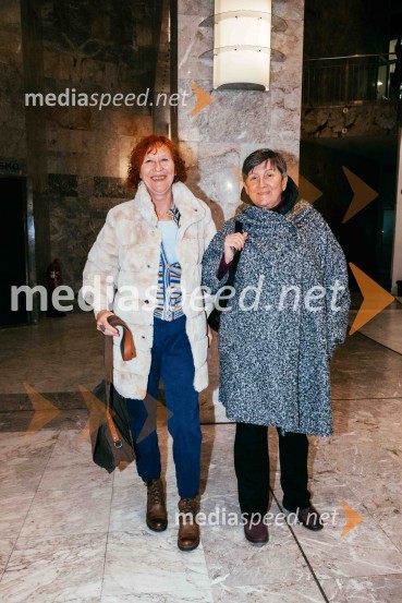 Avtorski projekt 1983 - Transgeneracijska dokumentarna fikcija v SNG Nova Gorica