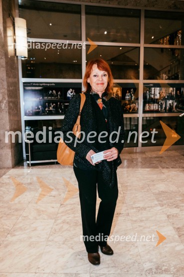 Avtorski projekt 1983 - Transgeneracijska dokumentarna fikcija v SNG Nova Gorica