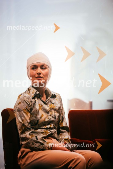 Avtorski projekt 1983 - Transgeneracijska dokumentarna fikcija v SNG Nova Gorica