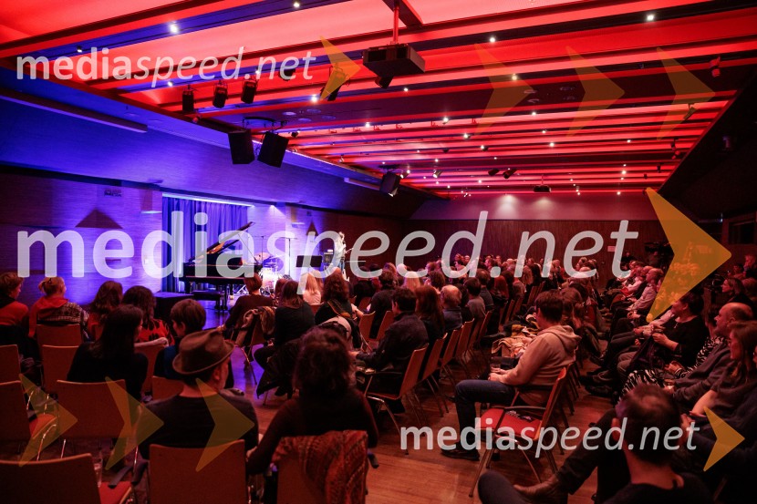 Patetico z novim projektom Armadilo: glasbena izkušnja ranljivosti in moči