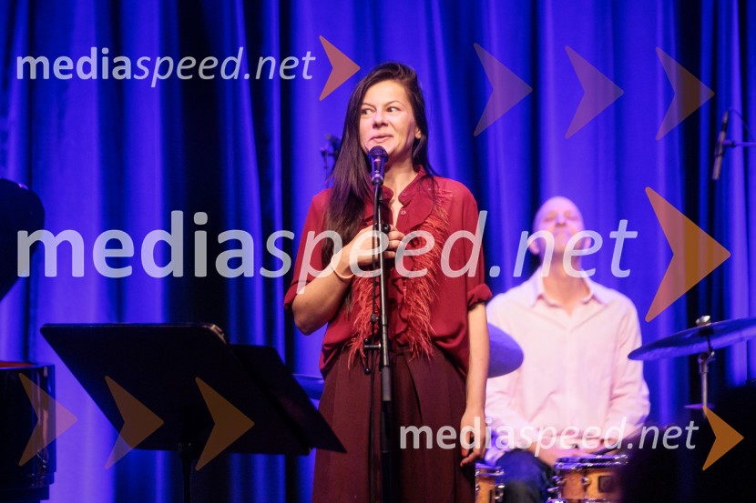 Patetico z novim projektom Armadilo: glasbena izkušnja ranljivosti in moči