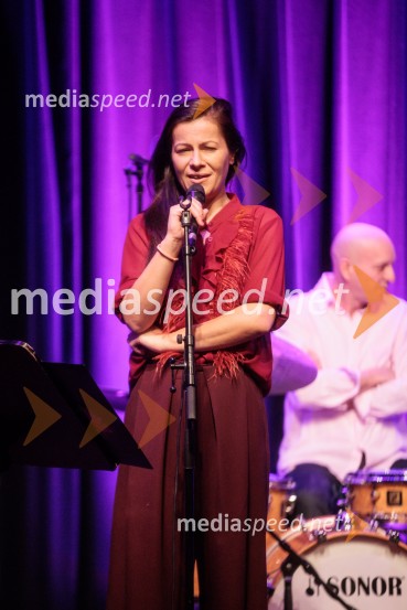 Patetico z novim projektom Armadilo: glasbena izkušnja ranljivosti in moči