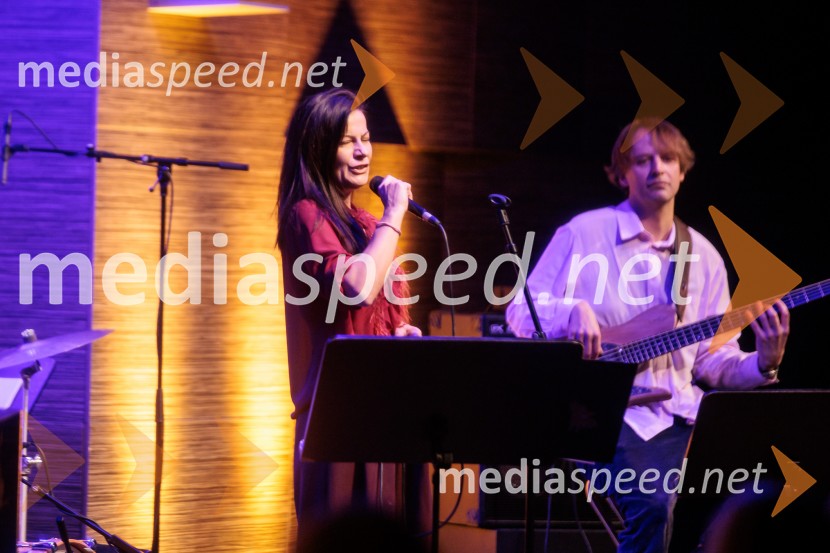 Patetico z novim projektom Armadilo: glasbena izkušnja ranljivosti in moči