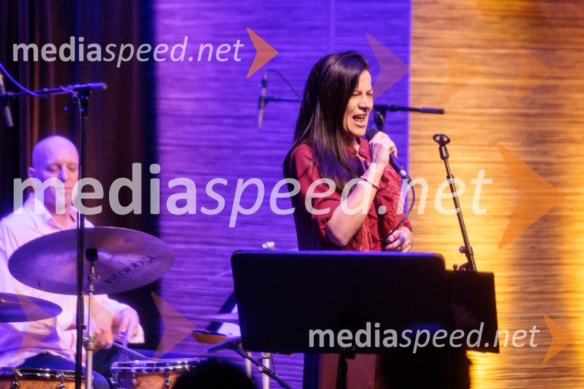 Patetico z novim projektom Armadilo: glasbena izkušnja ranljivosti in moči