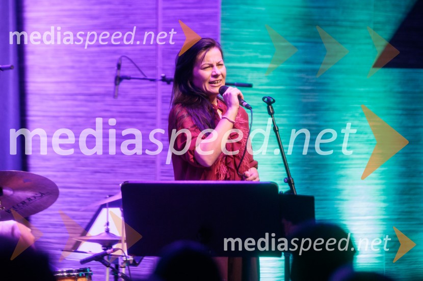 Patetico z novim projektom Armadilo: glasbena izkušnja ranljivosti in moči