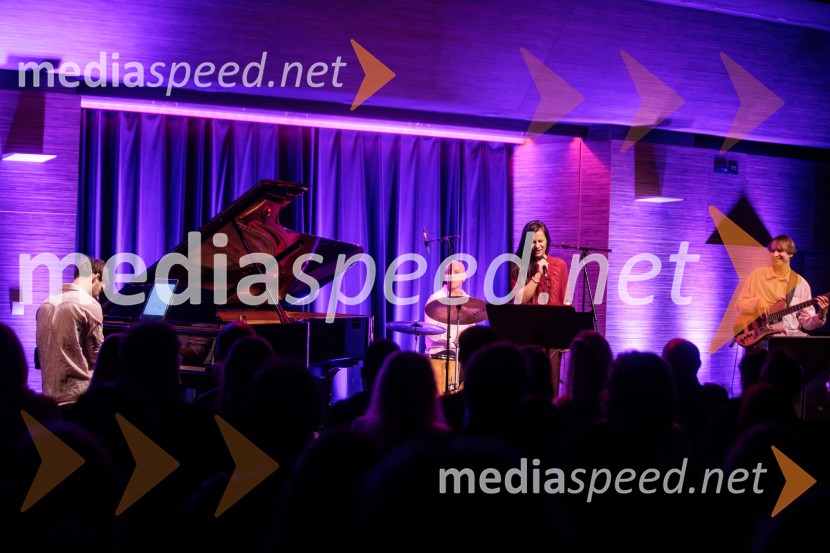 Patetico z novim projektom Armadilo: glasbena izkušnja ranljivosti in moči