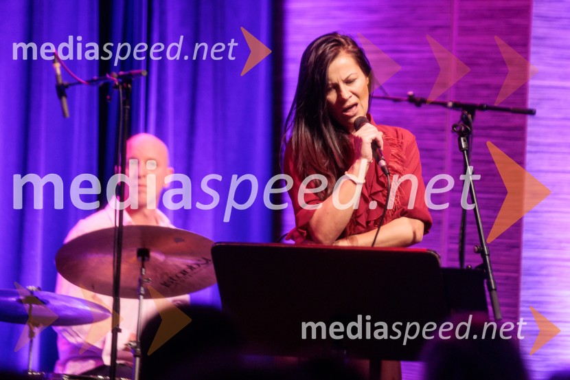 Patetico z novim projektom Armadilo: glasbena izkušnja ranljivosti in moči