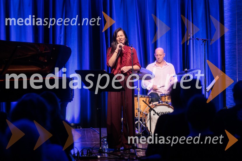 Patetico z novim projektom Armadilo: glasbena izkušnja ranljivosti in moči