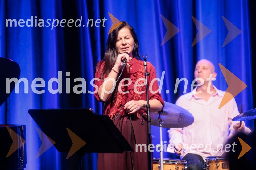 Patetico z novim projektom Armadilo: glasbena izkušnja ranljivosti in moči