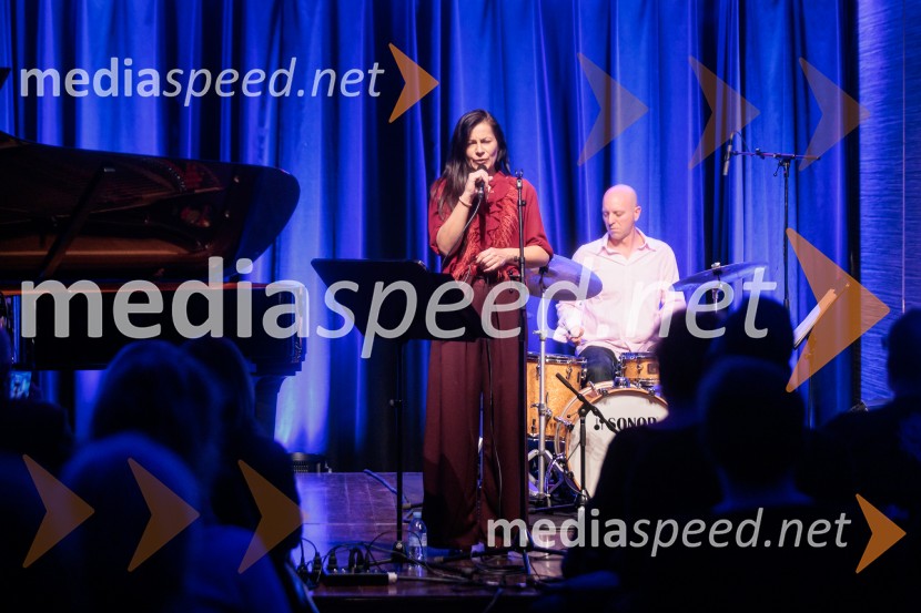 Patetico z novim projektom Armadilo: glasbena izkušnja ranljivosti in moči