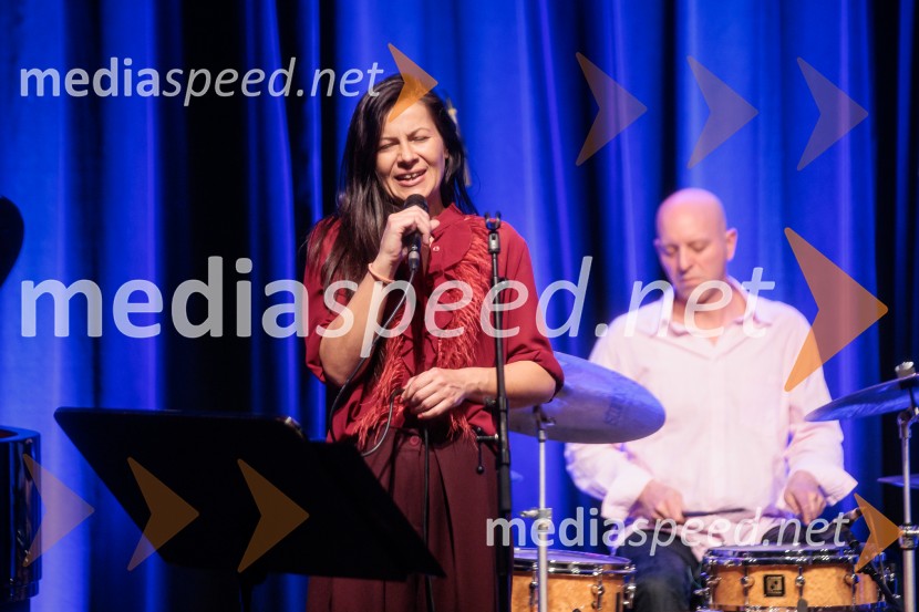 Patetico z novim projektom Armadilo: glasbena izkušnja ranljivosti in moči