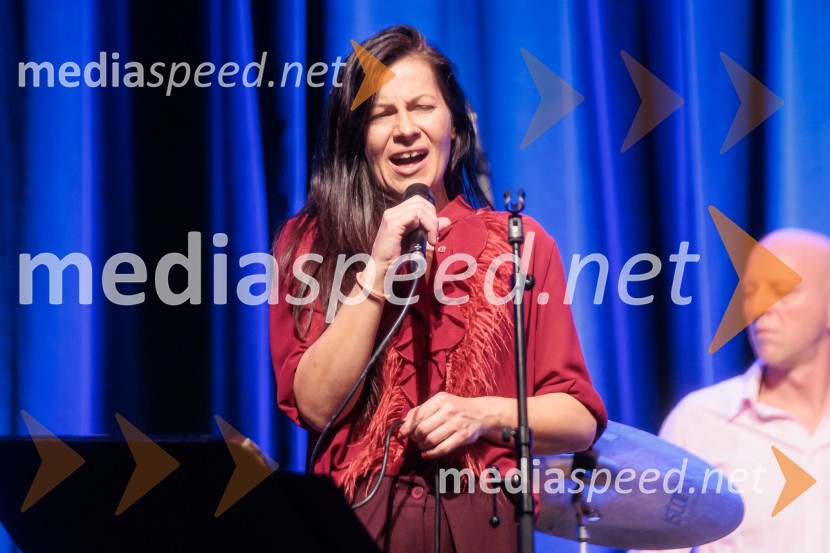 Patetico z novim projektom Armadilo: glasbena izkušnja ranljivosti in moči