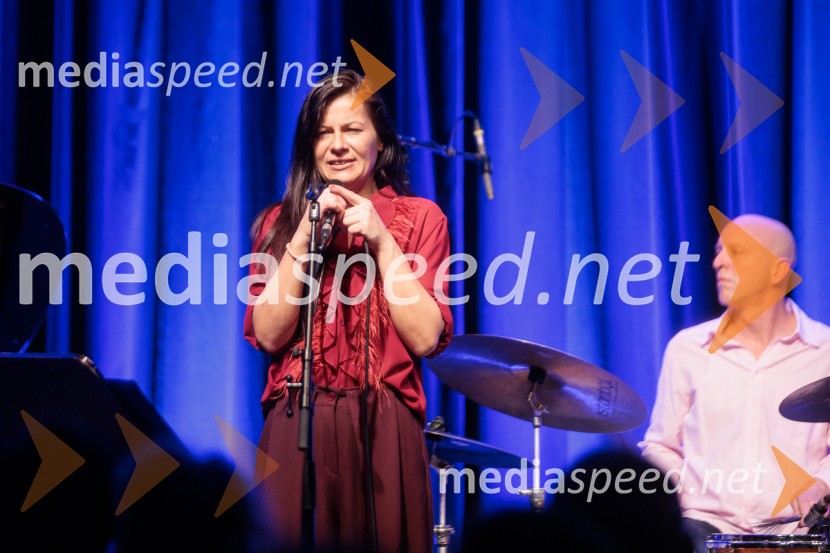 Patetico z novim projektom Armadilo: glasbena izkušnja ranljivosti in moči