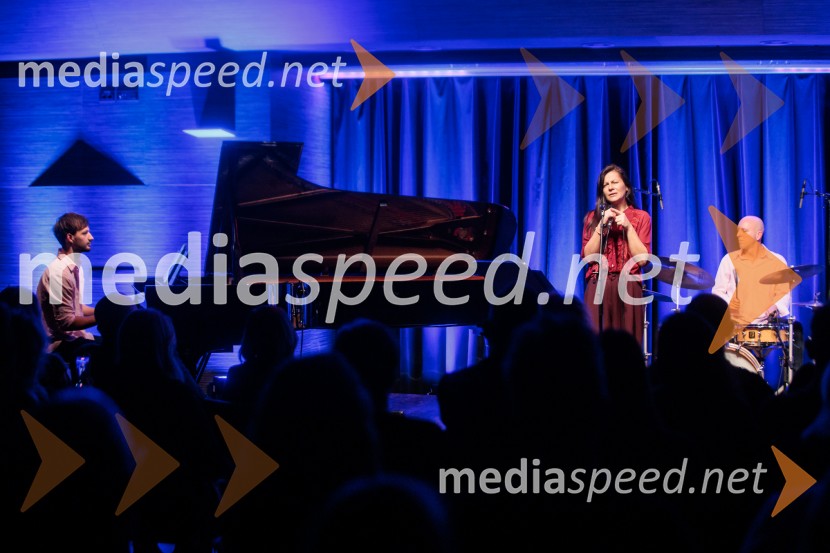 Patetico z novim projektom Armadilo: glasbena izkušnja ranljivosti in moči