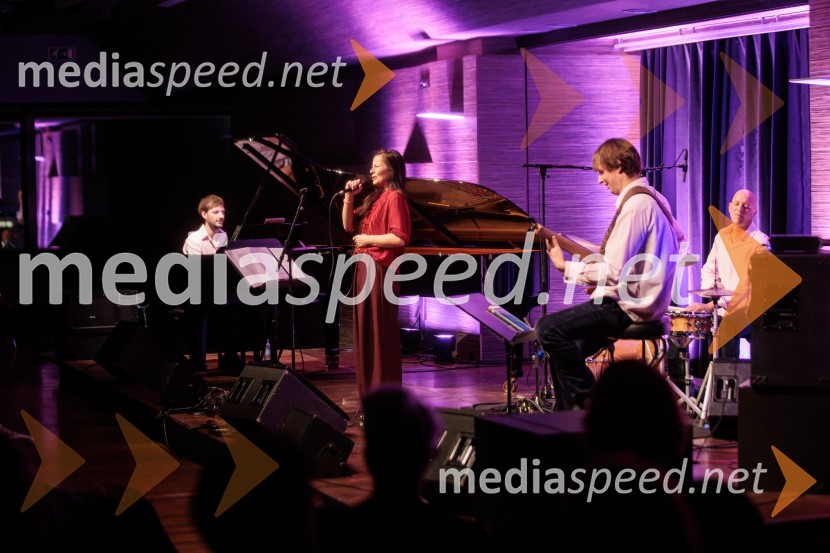 Patetico z novim projektom Armadilo: glasbena izkušnja ranljivosti in moči