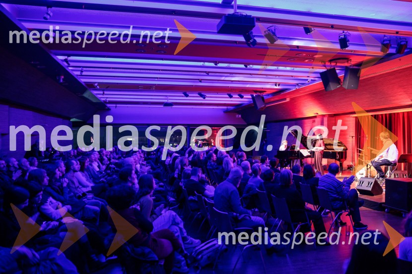 Patetico z novim projektom Armadilo: glasbena izkušnja ranljivosti in moči