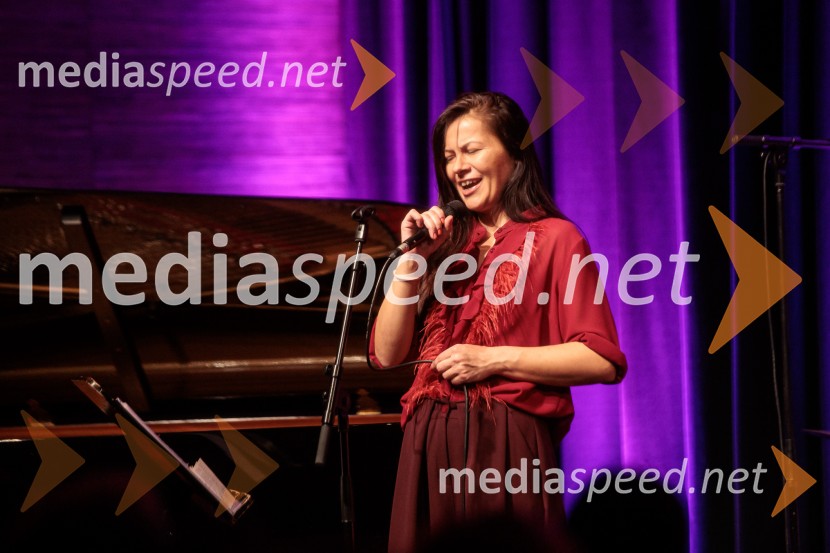 Patetico z novim projektom Armadilo: glasbena izkušnja ranljivosti in moči