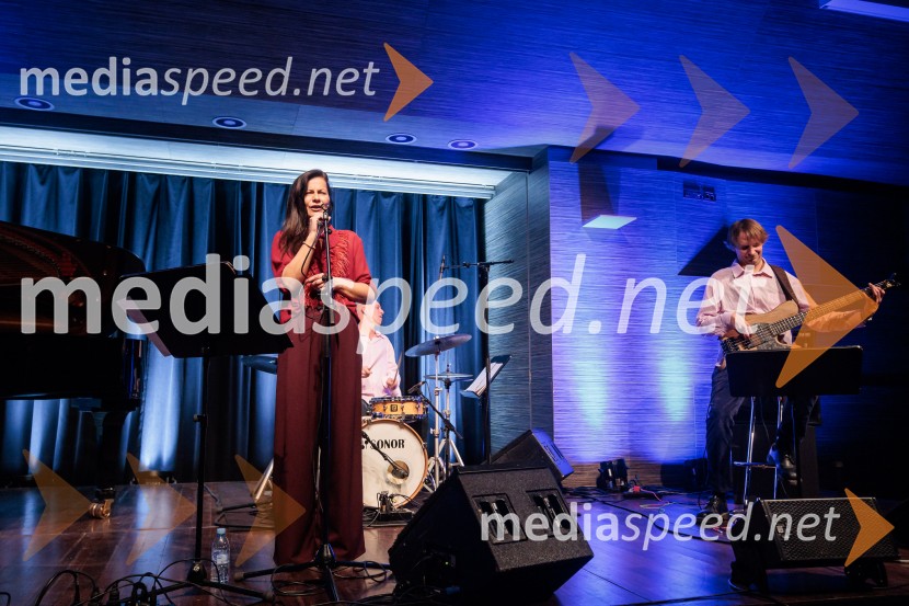 Patetico z novim projektom Armadilo: glasbena izkušnja ranljivosti in moči