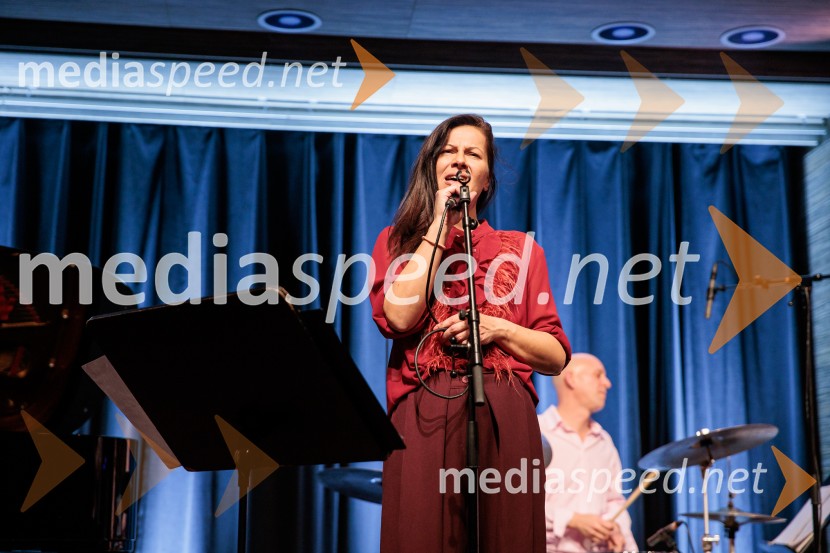 Patetico z novim projektom Armadilo: glasbena izkušnja ranljivosti in moči