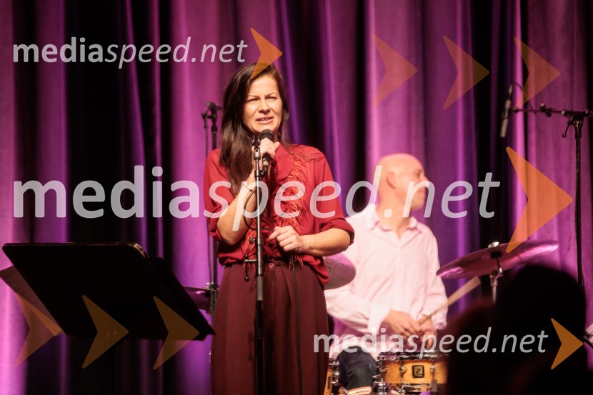 Patetico z novim projektom Armadilo: glasbena izkušnja ranljivosti in moči