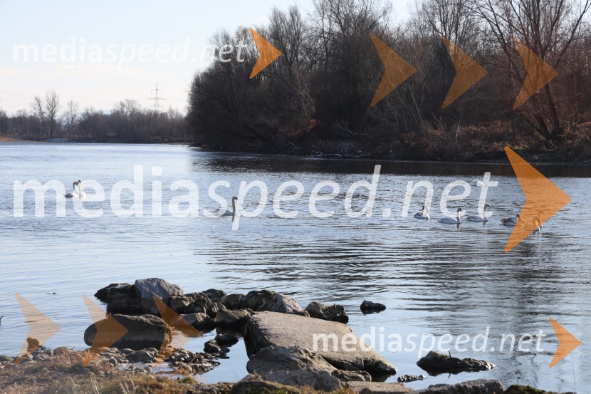 Tradicionalni novoletni skok v Dravo