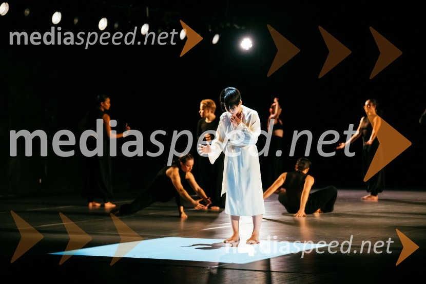 Poetično telo, premiera drame v SNG Nova Gorica