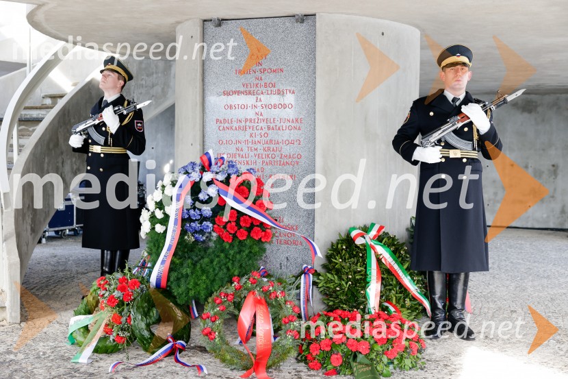 84. Obletnica Dražgoške bitke, spominska slovesnost