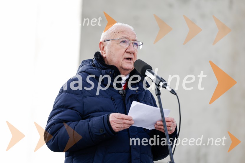 84. Obletnica Dražgoške bitke, spominska slovesnost