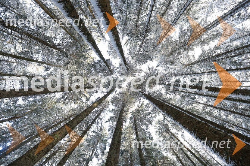 83. Obletnica poslednjega boja Pohorskega bataljona