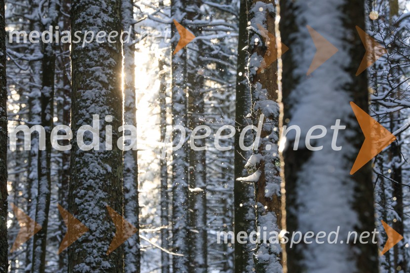 83. Obletnica poslednjega boja Pohorskega bataljona