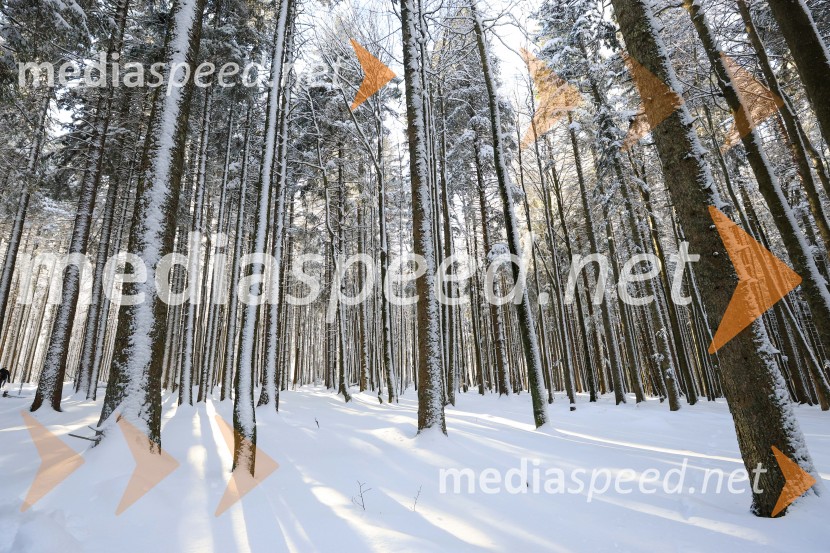 83. Obletnica poslednjega boja Pohorskega bataljona