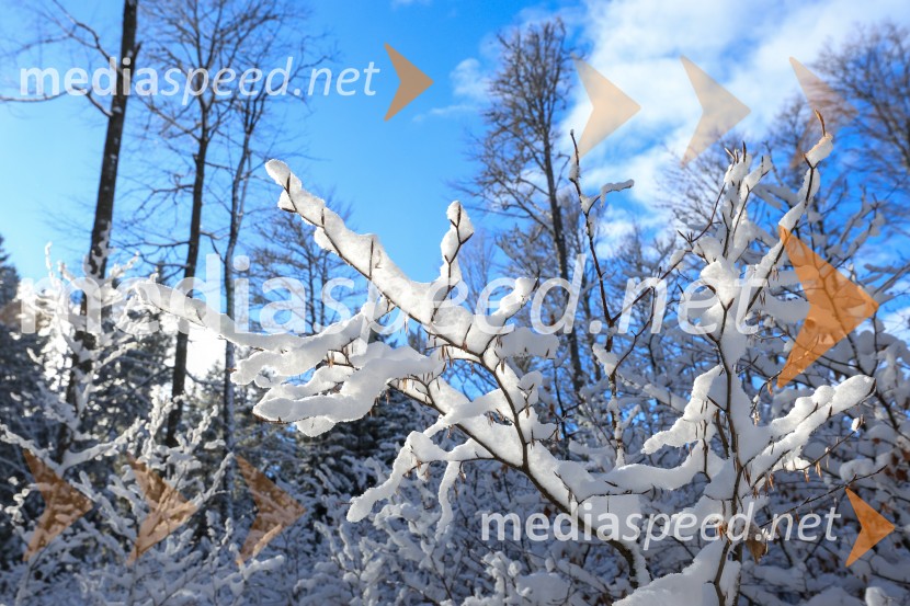 83. Obletnica poslednjega boja Pohorskega bataljona