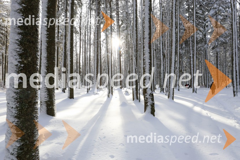 83. Obletnica poslednjega boja Pohorskega bataljona