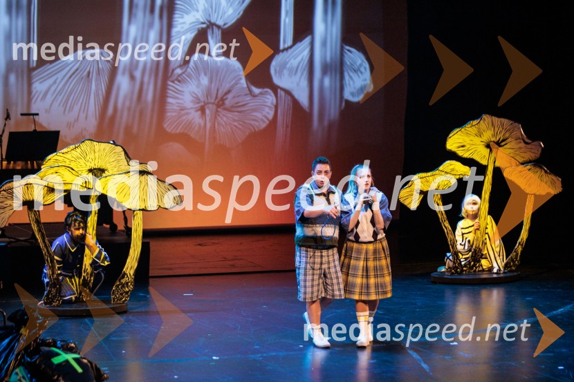 Cankarjev dom: Zločin v blatnem dolu