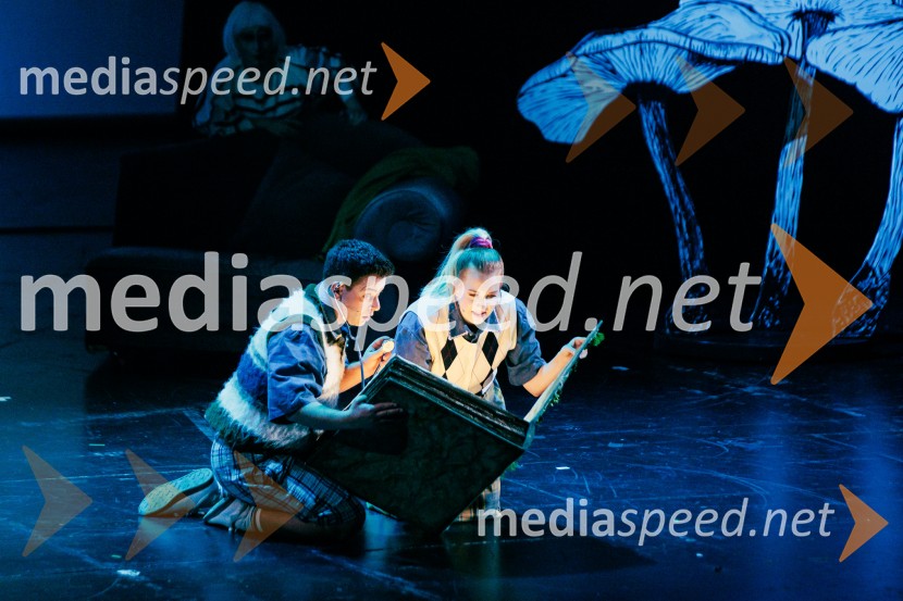 Cankarjev dom: Zločin v blatnem dolu