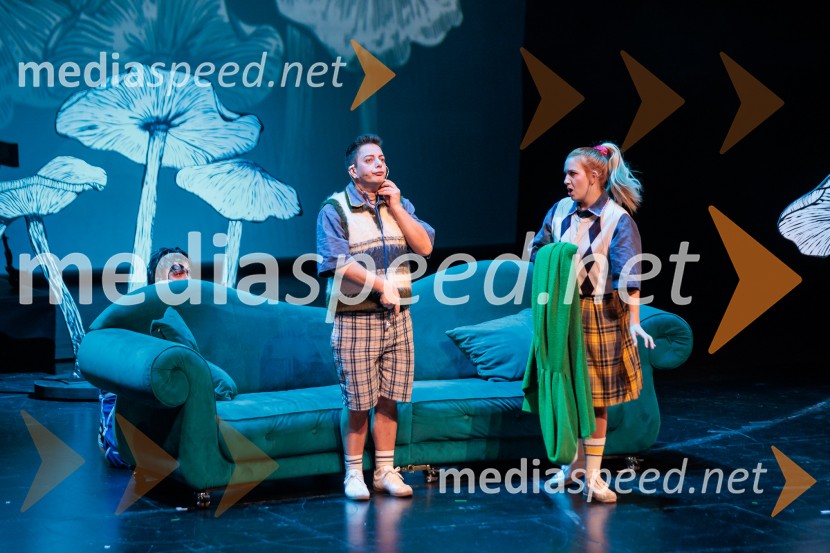 Cankarjev dom: Zločin v blatnem dolu