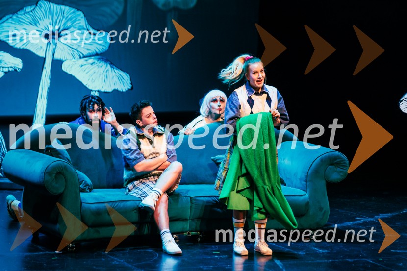 Cankarjev dom: Zločin v blatnem dolu