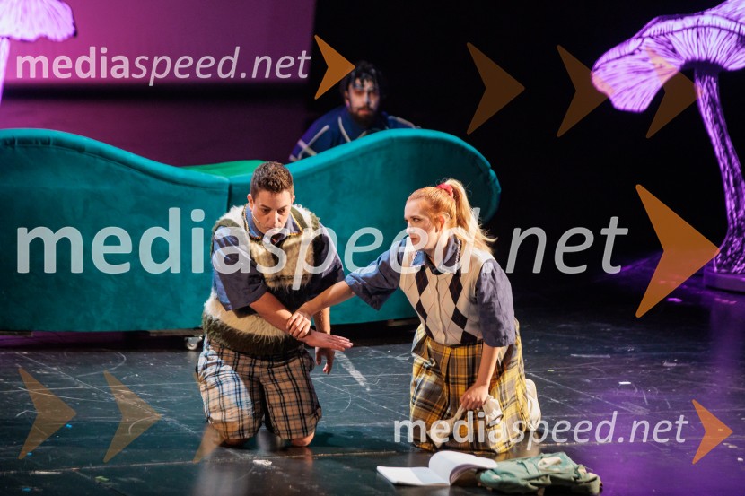 Cankarjev dom: Zločin v blatnem dolu