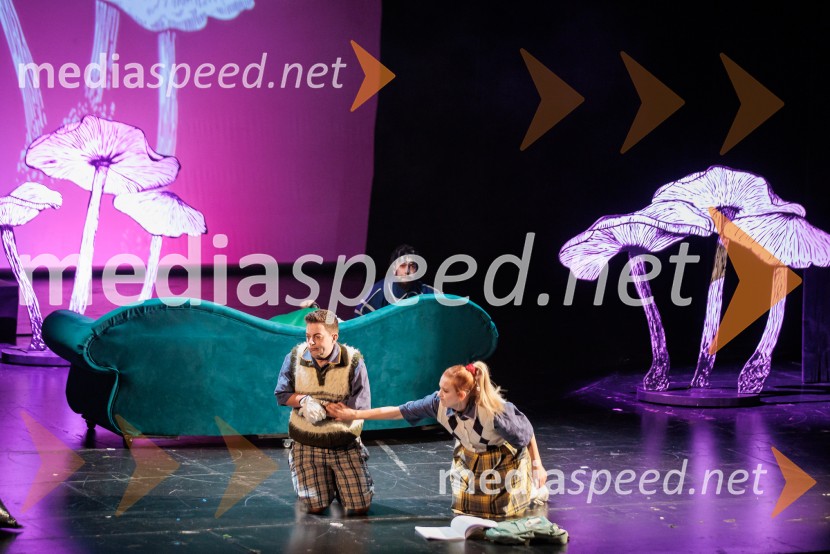 Cankarjev dom: Zločin v blatnem dolu