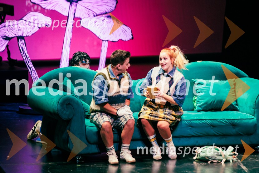 Cankarjev dom: Zločin v blatnem dolu