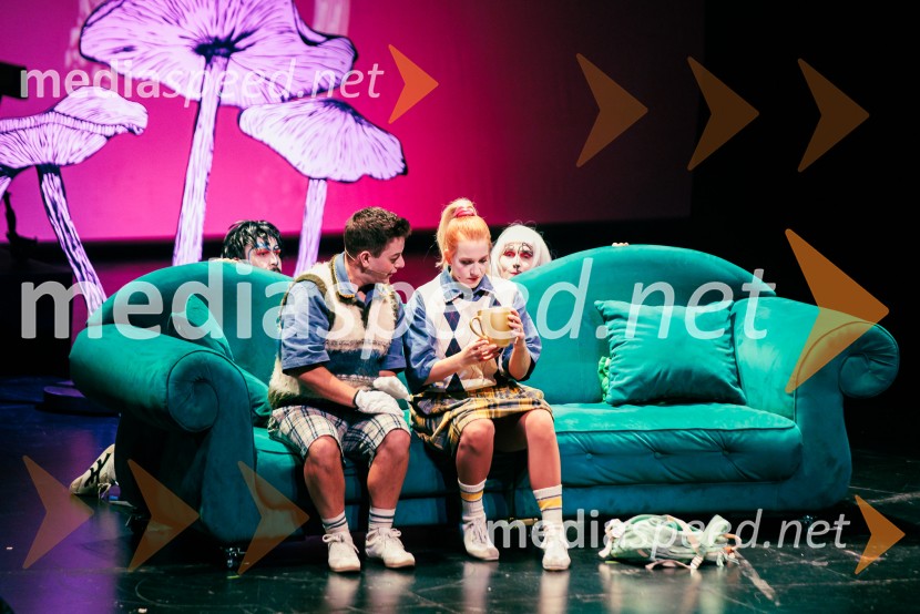 Cankarjev dom: Zločin v blatnem dolu