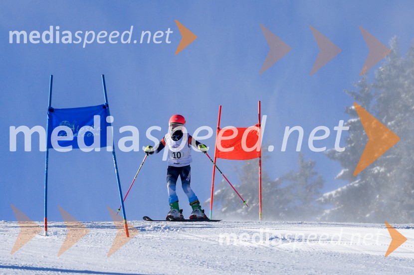 Prva tekma v smučanju Vzhodna regija U10-U12 Veleslalom 2026