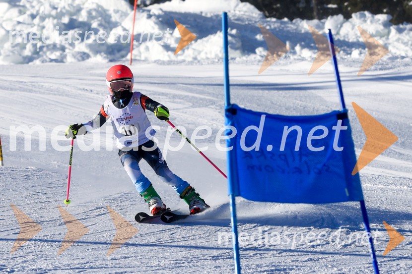 Prva tekma v smučanju Vzhodna regija U10-U12 Veleslalom 2026