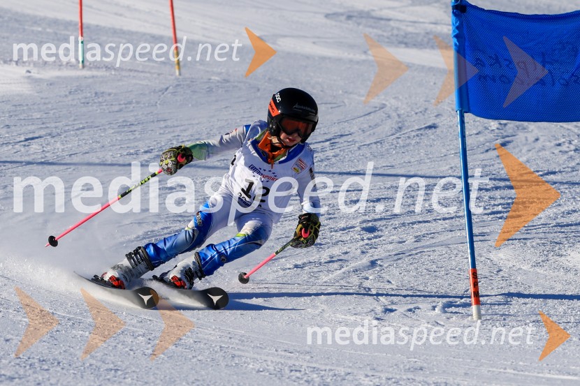 Prva tekma v smučanju Vzhodna regija U10-U12 Veleslalom 2026