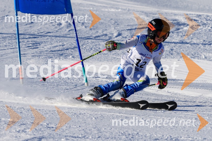 Prva tekma v smučanju Vzhodna regija U10-U12 Veleslalom 2026