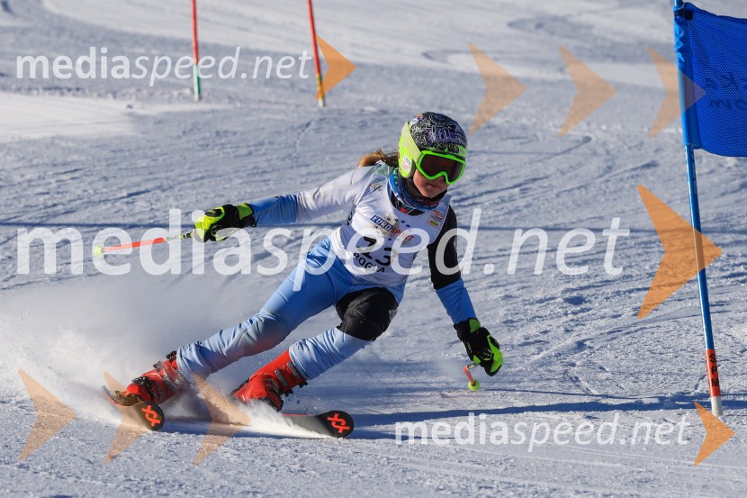 Prva tekma v smučanju Vzhodna regija U10-U12 Veleslalom 2026